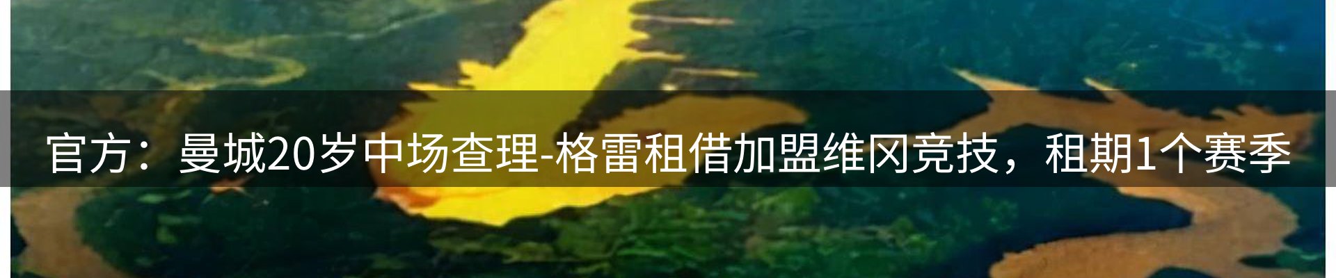 新闻播送