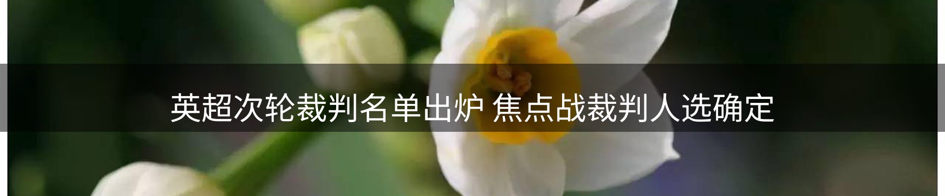 新闻播送